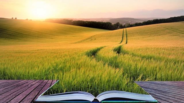 Непризнанные дары и таланты. Часть 2. смотреть онлайн