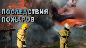 Последствия пожаров