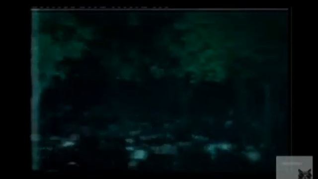 publicité teleshat, les croquettes bonjou смотреть онлайн