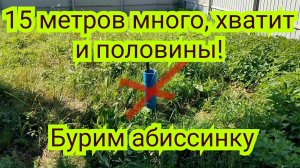 Выбор в пользу Абиссинской скважины, со скромным дебитом!