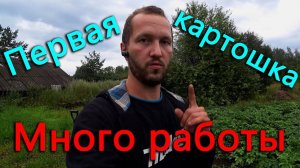 Первая картошка с огорода. Становится все больше работы.