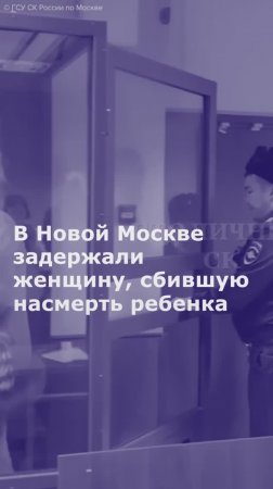 В Новой Москве задержали женщину, сбившую насмерть ребенка