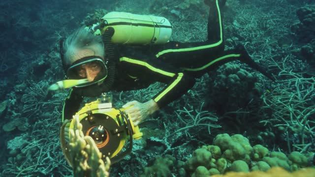 Акваланги и подводные фотоаппараты. Жак-Ив Кусто и National Geographic