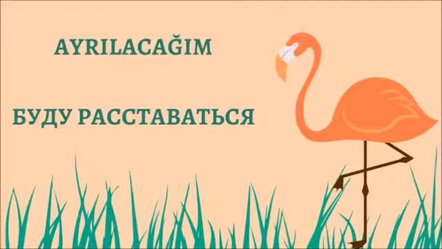 Турецкий язык. Rusça fiiller. Турецкий словарь. Турецкие глаголы (69)
