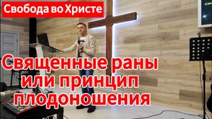 Священные раны или принцип плодоношения. Олег Мамонтов