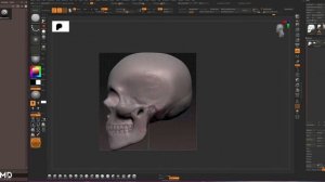 Noob Sessions | Sculpting a Skull | ZBrush | 2000% Speed