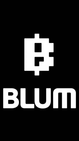 Blum Academy: Sharding Explained