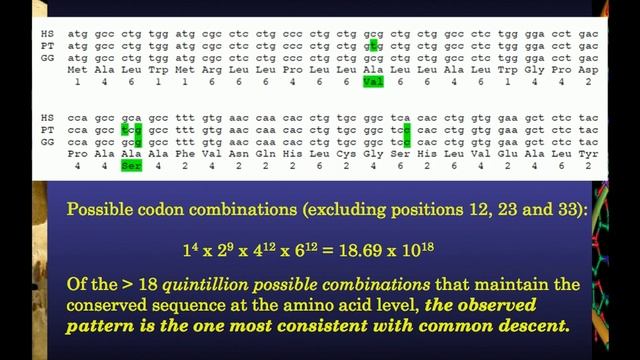 Dennis Venema - Can an Evangelical Christian Accept Evolution? - Part 5 смотреть онлайн