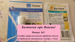 Болталка про Фиалки! Выпуск 20: Плановая профилактическая обработка Фиалок от вредителей!
