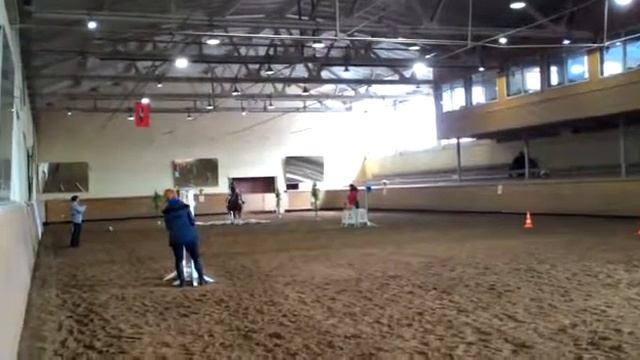 Преодоление-Л Марк Петренко 1 место кубок им П. Гурвича
