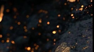 Поучительная история - Что посеешь, то и пожнёшь...