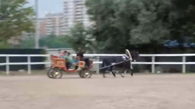 ФЛИКА В фаэтоне