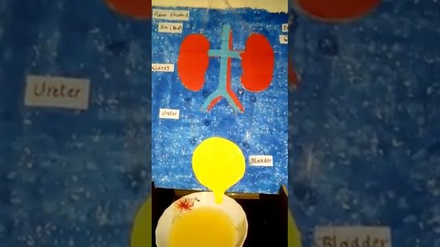 Grade-6 Red Science Presentation Presented by Asma Shahid