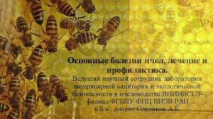 Сохликов А.Б. Основные болезни пчел, лечение и профилактика.