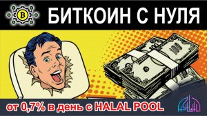 От 0,7% в день с HALAL POOL.  Проверка ХАЙП проекта с заработком от 0,7% в день. И вывод денег.