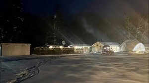 Тигр напал на мужчину на базе отдыха в Хабаровском крае