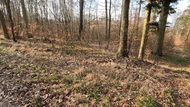 УЖАС ОТ УКРАИНСКИХ БЕЖЕНЦЕВ В ГЕРМАНИИ. ЕЩЁ ОДНА МИРЬКА ИЗ ГЕРМАНИИ. ГЕРМАНИЯ СЕГОДНЯ