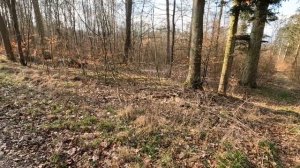 УЖАС ОТ УКРАИНСКИХ БЕЖЕНЦЕВ В ГЕРМАНИИ. ЕЩЁ ОДНА МИРЬКА ИЗ ГЕРМАНИИ. ГЕРМАНИЯ СЕГОДНЯ