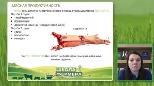 Основы производства баранины   Пахомова