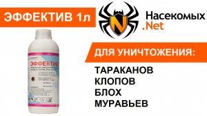 Эффектив - лучшее средство от тараканов