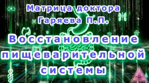 МАТРИЦА ГАРЯЕВА.УНИВЕРСАЛЬНАЯ ПРОГРАММА-КОРРЕКЦИЯ И ВОССТАНОВЛЕНИЕ ПИЩЕВАРИТЕЛЬНОЙ СИСТЕМЫ(фрагмент)