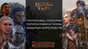 Расы Baldur's Gate 3. Полуэльфы, полурослики, полуорки и гномы