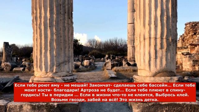 Меткие Цитаты Жизненные Цитаты со смыслом. Мудрых и Великих Изменят твою Жизнь Правдивые слова