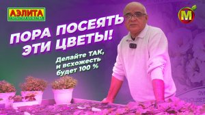 Какие ЦВЕТЫ посеять ЗИМОЙ?