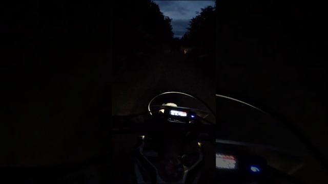 Догнал птицу, чуть не сшиб головой #эндуро #мотокросс #мото #enduro #мотоцикл #мотоциклы