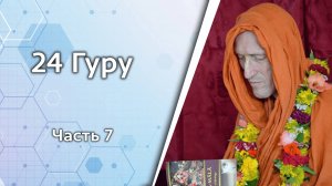 24 Гуру, часть 7 — Бхакти Викаша Свами