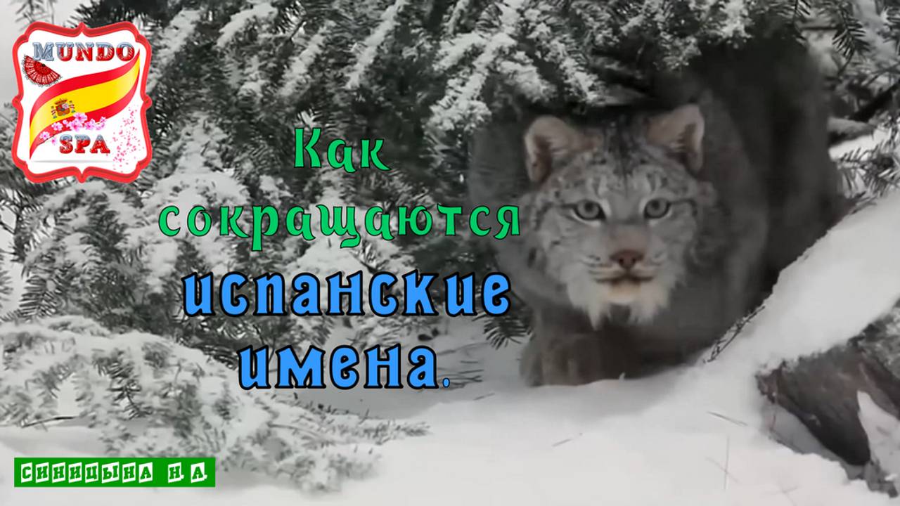 186. СОКРАЩЕНИЕ испанских имён.
