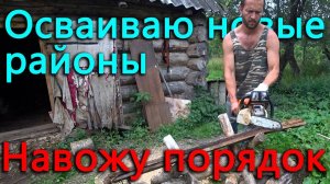 Осваиваю новые районы Псковской области.  Разгребаю завалы на участке.