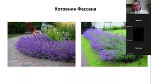 Цвет в ландшафтном дизайне (подбор растений по цвету для сада)