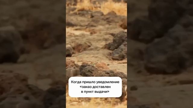 Когда пришло уведомление- заказ доставлен в пункт выдачи