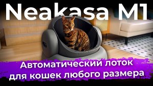 Обзор автоматического туалета для кошек Neakasa M1