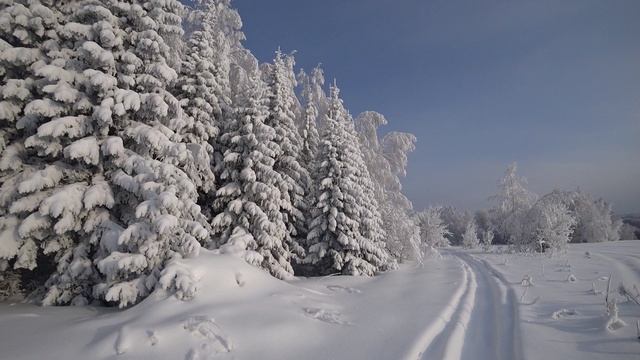 Ёлки-палки смотреть онлайн