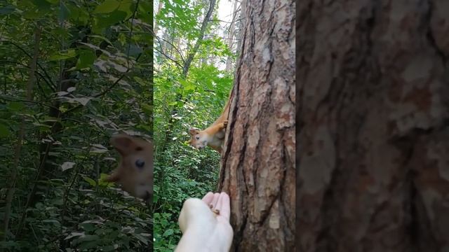 Удачно спустился, почаще приходите