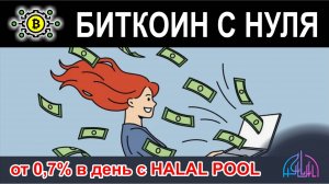 Как я пробую заработать 0,7% в день или даже больше с Halal Pool