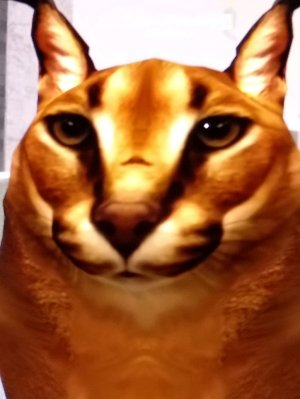 Игра5м с гошой в икею 3008