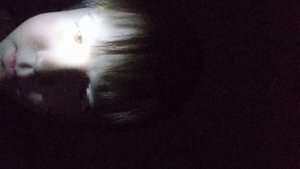 у̾х̾о̾д̾и̾т̾ь̾ и̾л̾и̾ н̾е̾т̾?