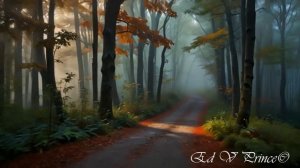 "Ёлки палки" детская песенка  автор Ed V Prince©