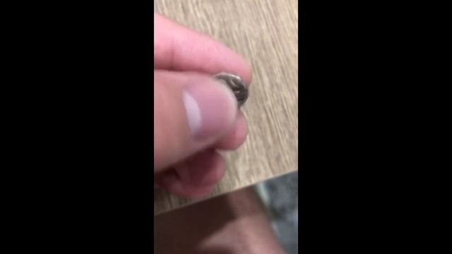 Гемидрахма, Безбородый Сатир Лев вправо, голова назад, ПАNTI смотреть онлайн