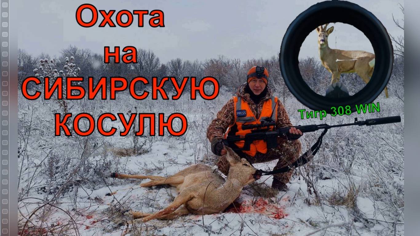 ОХОТА НА СИБИРСКУЮ КОСУЛЮ! Шикарный выстрел!