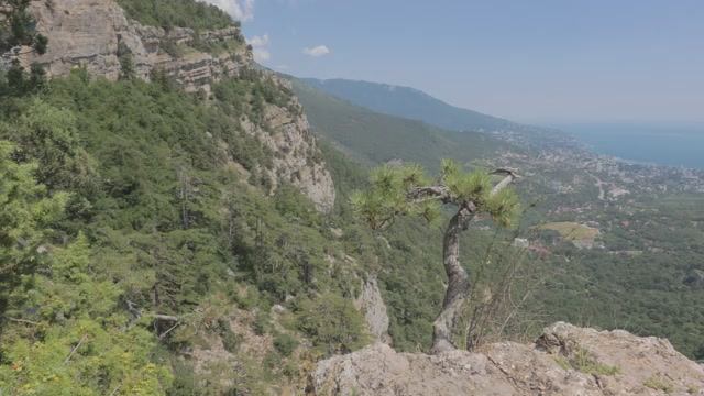 ЯЛТА-ЛИВАДИЯ июль 2021 смотреть онлайн