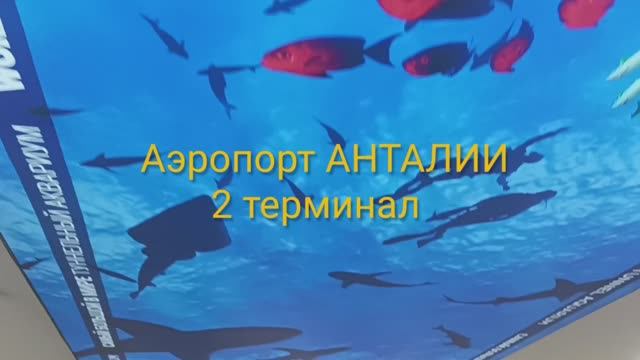 Турция 2024. Как доехать из аэропорта Анталии в центр на трамвае или автобусе.