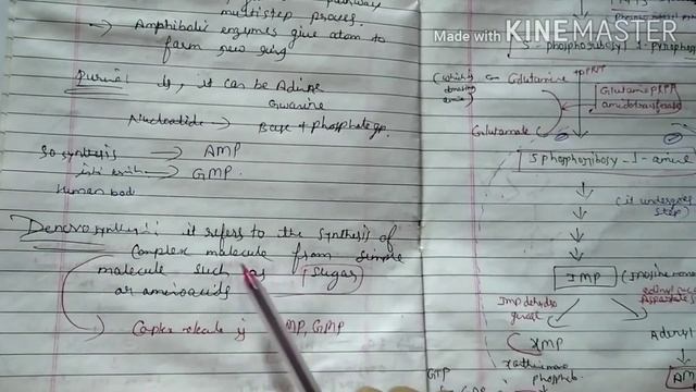 Biosynthesis of Purine and Pyrimidine Nucleutides.by Sonika Mam