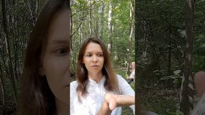 Точка ЛАО ГУН (МС-8) для СЕРДЦА и НЕРВНОЙ СИСТЕМЫ