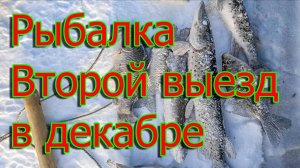 Второй выезд на рыбалку в декабре🐟❄️🌲