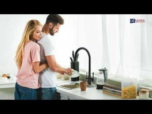 Смеситель для кухни с гибким изливом с подключением к фильтру LEMARK COMFORT LM3075BL