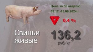 Что сейчас происходит на рынке мясной продукции? Цены за 50 неделю #мясо #аналитика #АПК